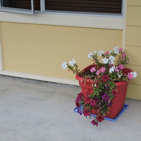 Maple Lodge Motel Matamata Bagian luar foto