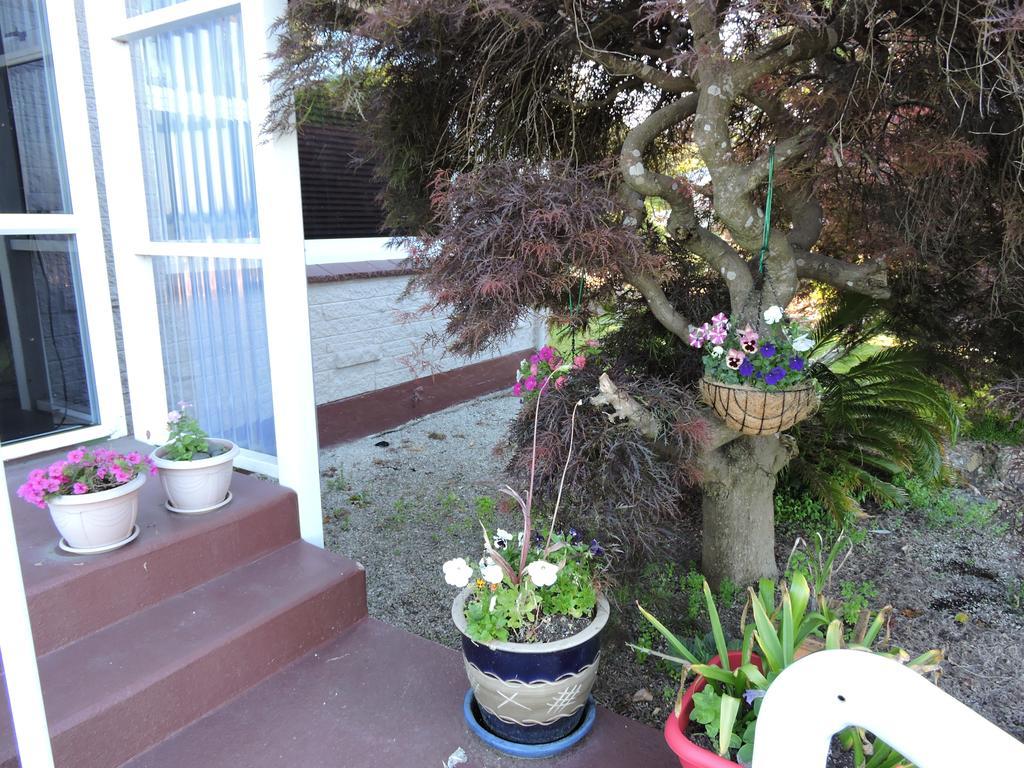 Maple Lodge Motel Matamata Bagian luar foto